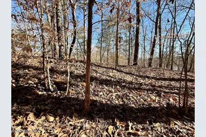 666 Solomon Road, Prospect Hill, NC 27314 - Photo 39