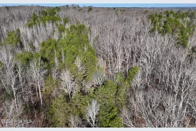 666 Solomon Road, Prospect Hill, NC 27314 - Photo 15