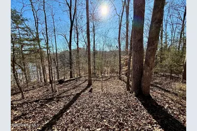 666 Solomon Road, Prospect Hill, NC 27314 - Photo 5