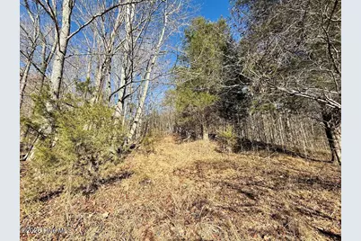666 Solomon Road, Prospect Hill, NC 27314 - Photo 17