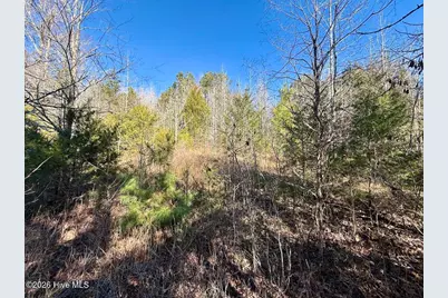 666 Solomon Road, Prospect Hill, NC 27314 - Photo 47
