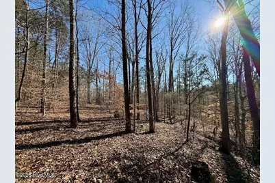 666 Solomon Road, Prospect Hill, NC 27314 - Photo 27