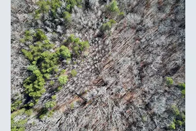 666 Solomon Road, Prospect Hill, NC 27314 - Photo 37