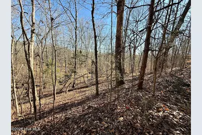 666 Solomon Road, Prospect Hill, NC 27314 - Photo 21
