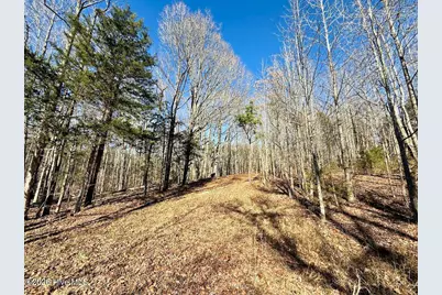 666 Solomon Road, Prospect Hill, NC 27314 - Photo 45