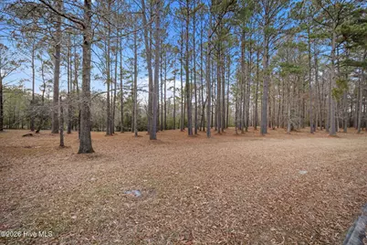 850 Southern Plantation Drive N, Oriental, NC 28571 - Photo 11