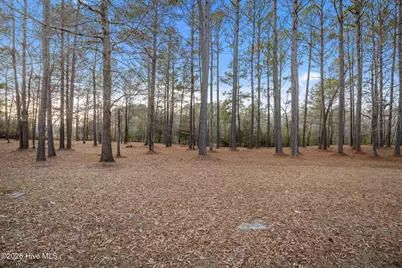 850 Southern Plantation Drive N, Oriental, NC 28571 - Photo 5