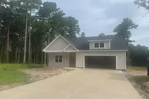31 Currituck Ct, Oriental, NC 28571 - Photo 1