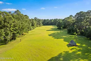4 Pinebark Ct, Calabash, NC 28467 - Photo 75