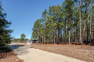 52 Paul Cromartie Ln, Harrells, NC 28444 - Photo 31