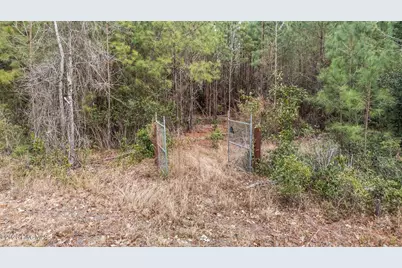 290 Gold Finch Lane, New Bern, NC 28560 - Photo 5