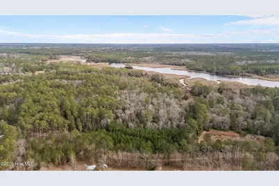 290 Gold Finch Lane, New Bern, NC 28560 - Photo 3