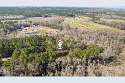 371 Harley Drive, Willard, NC 28478 - Photo 43