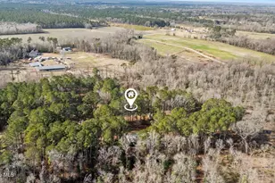 371 Harley Dr, Willard, NC 28478 - Photo 43