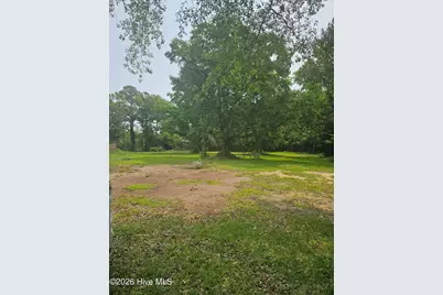 222 Fulcher Landing Road, Sneads Ferry, NC 28460 - Photo 3