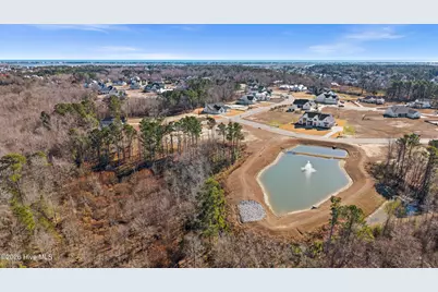 31 Dragonfly Lane, Hampstead, NC 28443 - Photo 11