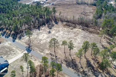 828 Marks Creek Church Road, Hamlet, NC 28345 - Photo 17