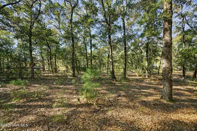 3326 Four Water View SW, Supply, NC 28462 - Photo 13