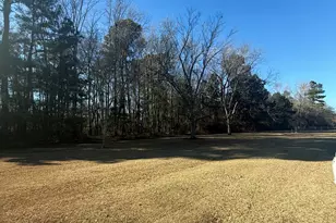 780 James Pait Rd, Bladenboro, NC 28320 - Photo 1