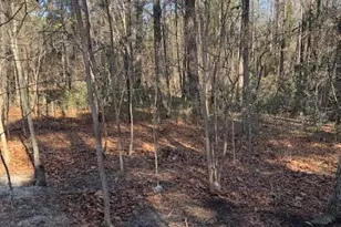 123 James Dr, West End, NC 27376 - Photo 1
