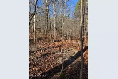 123 James Drive, West End, NC 27376 - Photo 3