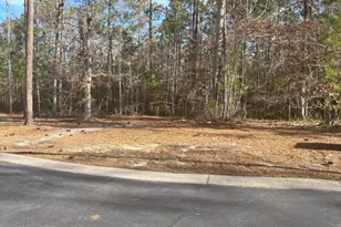 1206 Mandevilla Dr SE, Bolivia, NC 28422 - Photo 1