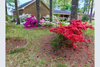 651 Smith Shore Road, Belhaven, NC 27810 - Photo 69
