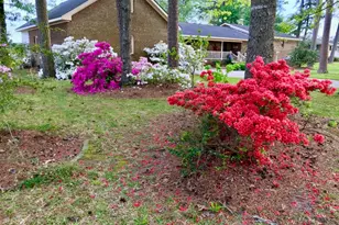 651 Smith Shore Rd, Belhaven, NC 27810 - Photo 69