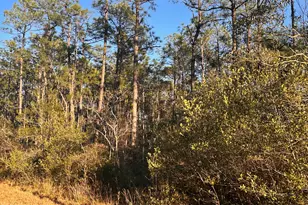 568 Grape Rd, Southport, NC 28461 - Photo 1