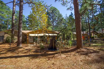 642 Redwood Drive, Southern Pines, NC 28387 - Photo 51