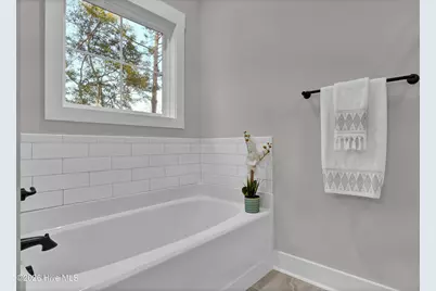 163 Bayshore Drive, Sneads Ferry, NC 28460 - Photo 29