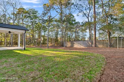 163 Bayshore Drive, Sneads Ferry, NC 28460 - Photo 43
