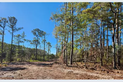Lot 133 Coral Gull Street, Southport, NC 28461 - Photo 1