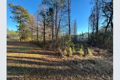 65 Old Blakes Bridge Road, Burgaw, NC 28425 - Photo 11