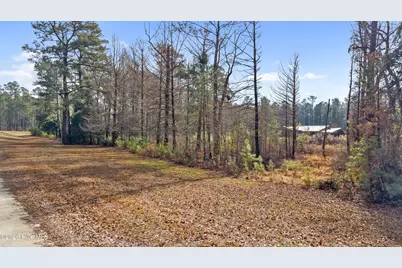 65 Old Blakes Bridge Road, Burgaw, NC 28425 - Photo 29