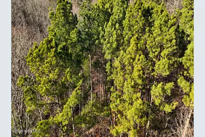 0 Nc 98 Highway, Spring Hope, NC 27882 - Photo 35