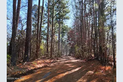 0 Nc 98 Highway, Spring Hope, NC 27882 - Photo 5