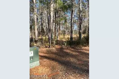 8 Pitch Kettle Court, Belhaven, NC 27810 - Photo 11