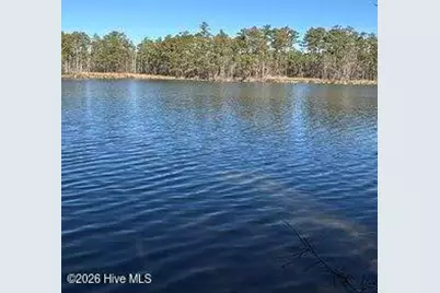 8 Pitch Kettle Court, Belhaven, NC 27810 - Photo 3