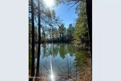 3984 Pocosin Road, Lake Waccamaw, NC 28450 - Photo 51