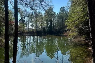 3984 Pocosin Rd, Lake Waccamaw, NC 28450 - Photo 51