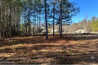 3984 Pocosin Road, Lake Waccamaw, NC 28450 - Photo 55