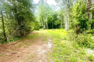 3984 Pocosin Rd, Lake Waccamaw, NC 28450 - Photo 41