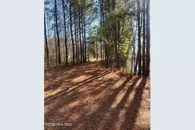 3984 Pocosin Road, Lake Waccamaw, NC 28450 - Photo 53