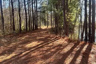 3984 Pocosin Rd, Lake Waccamaw, NC 28450 - Photo 53