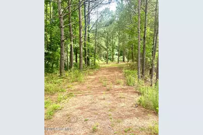 3984 Pocosin Road, Lake Waccamaw, NC 28450 - Photo 43