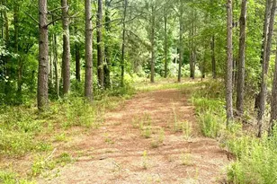 3984 Pocosin Rd, Lake Waccamaw, NC 28450 - Photo 43
