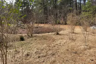 3414 Possum Hill Rd, Bath, NC 27808 - Photo 17