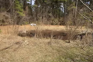 3414 Possum Hill Rd, Bath, NC 27808 - Photo 19