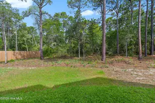 251 Cougar Rd, Southport, NC 28461 - Photo 51